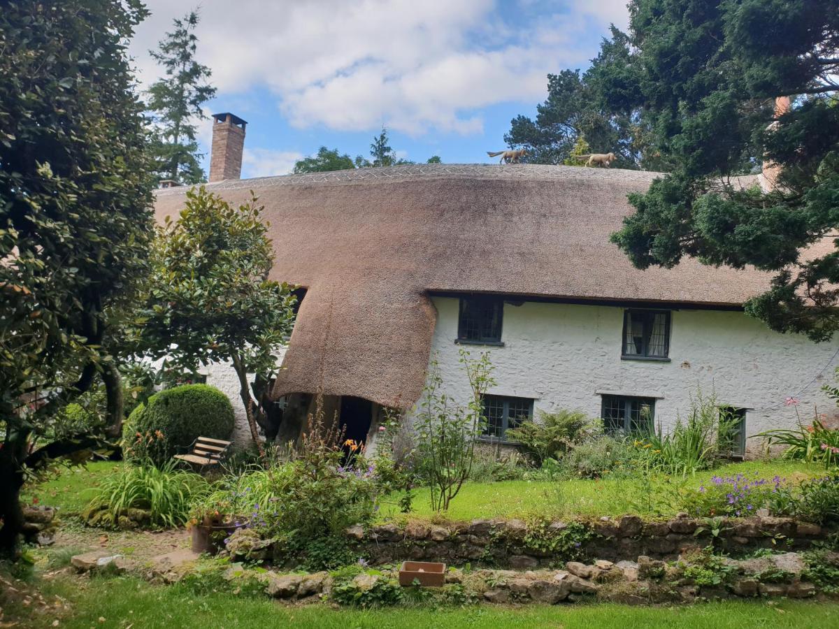 Gasthaus Ford House Stockland Exterior foto